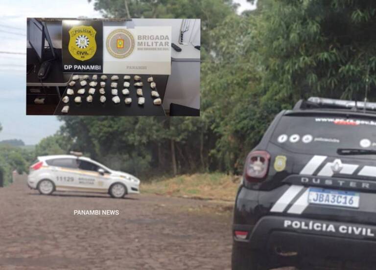 Polícia prende homem e apreende droga em Panambi