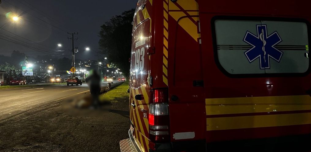 Bezerros invadem a pista e causam acidente em São Miguel do Oeste/SC