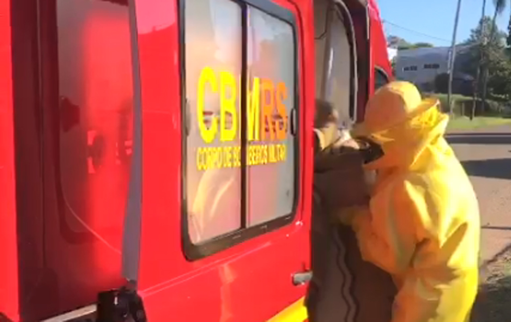 Homem leva mais de 300 picadas de abelhas em Passo Fundo