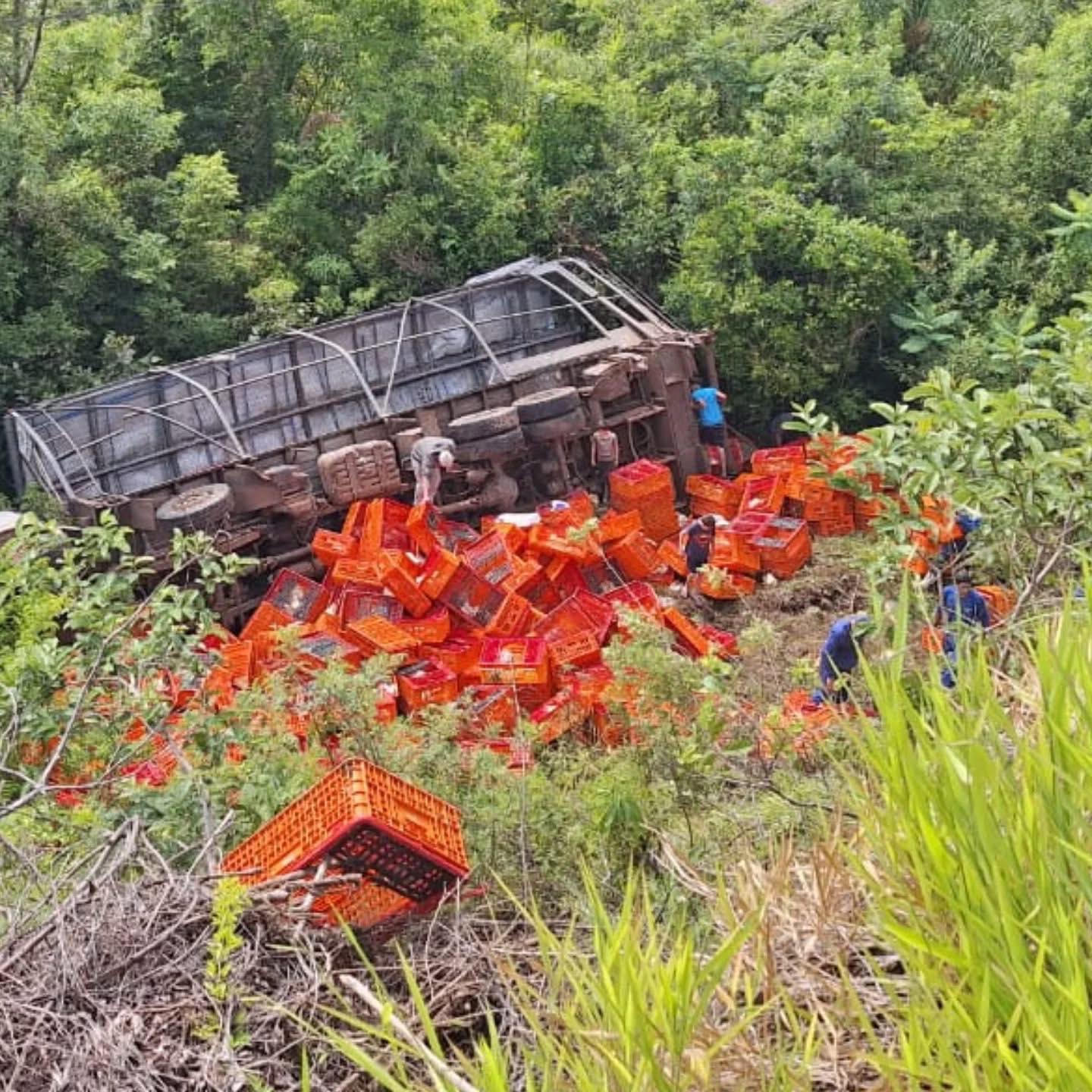 Carga de frangos é saqueada após caminhão cair em ribanceira na SC-480
