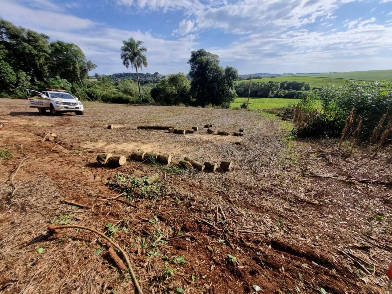 Brigada Militar flagra corte de árvores nativas e apreende motosserra em Panambi
