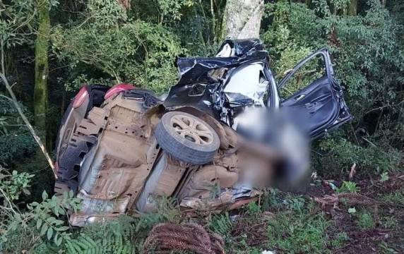 Três jovens morrem após carro colidir contra pinheiro às margens de rodovia em SC