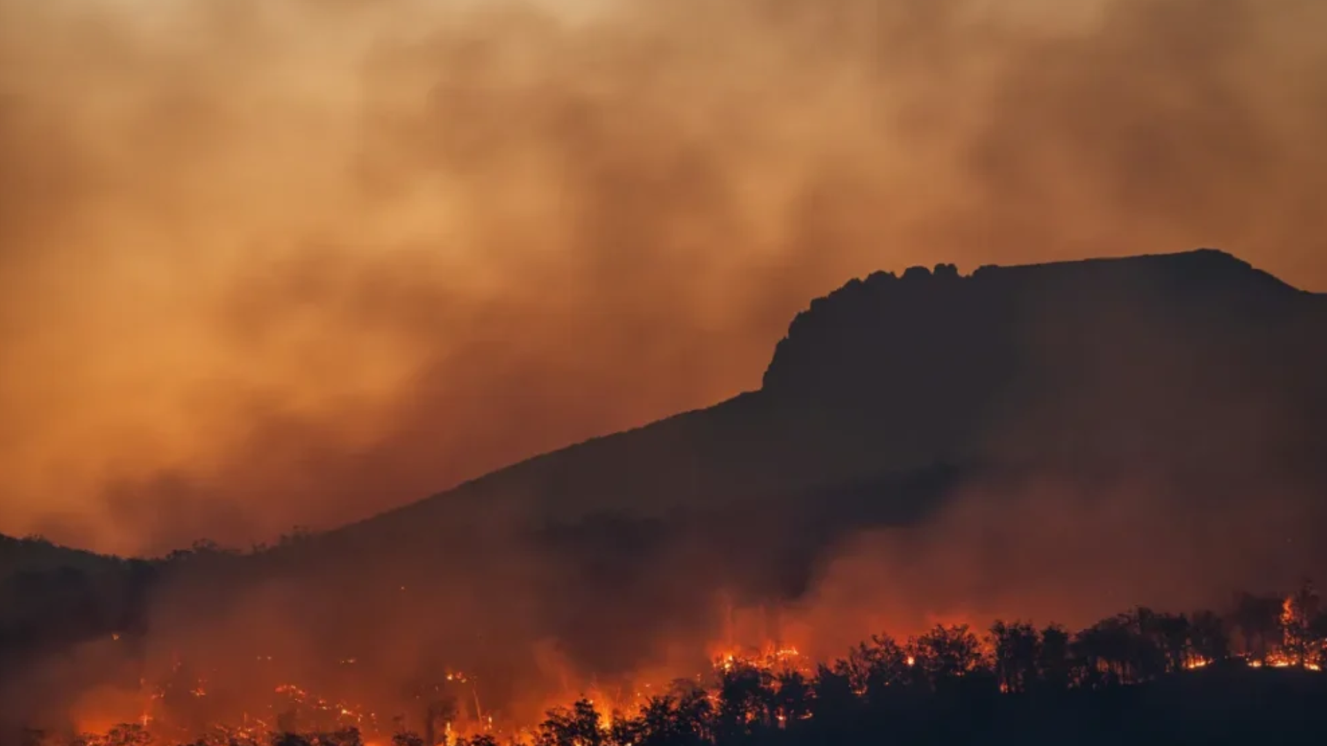 Terras descongeladas podem emitir gases que matarão humanidade; entenda