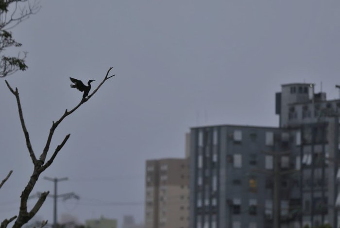 Formação de ciclone extratropical deve provocar temporais nesta quinta-feira no Rio Grande do Sul