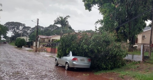 Temporal derruba árvores e causa estragos em São Luiz Gonzaga