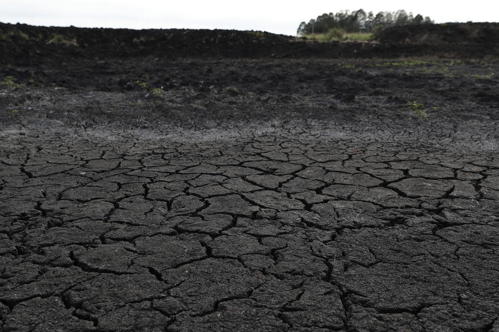 Calor e pouca chuva no RS: a pior combinação neste momento da safra