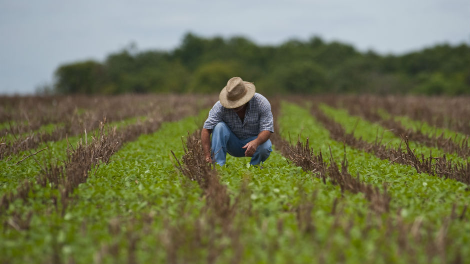 Excesso de chuvas e guerra no Irã são os novos desafios para a produção nas lavouras gaúchas