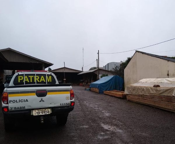 Brigada Militar flagra madeireiras atuando de forma irregular em Carazinho
