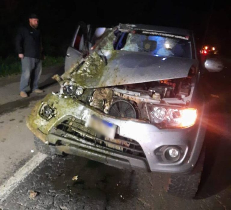 Cavalos soltos na pista provocam grave acidente na ERS 344, em Santo Ângelo