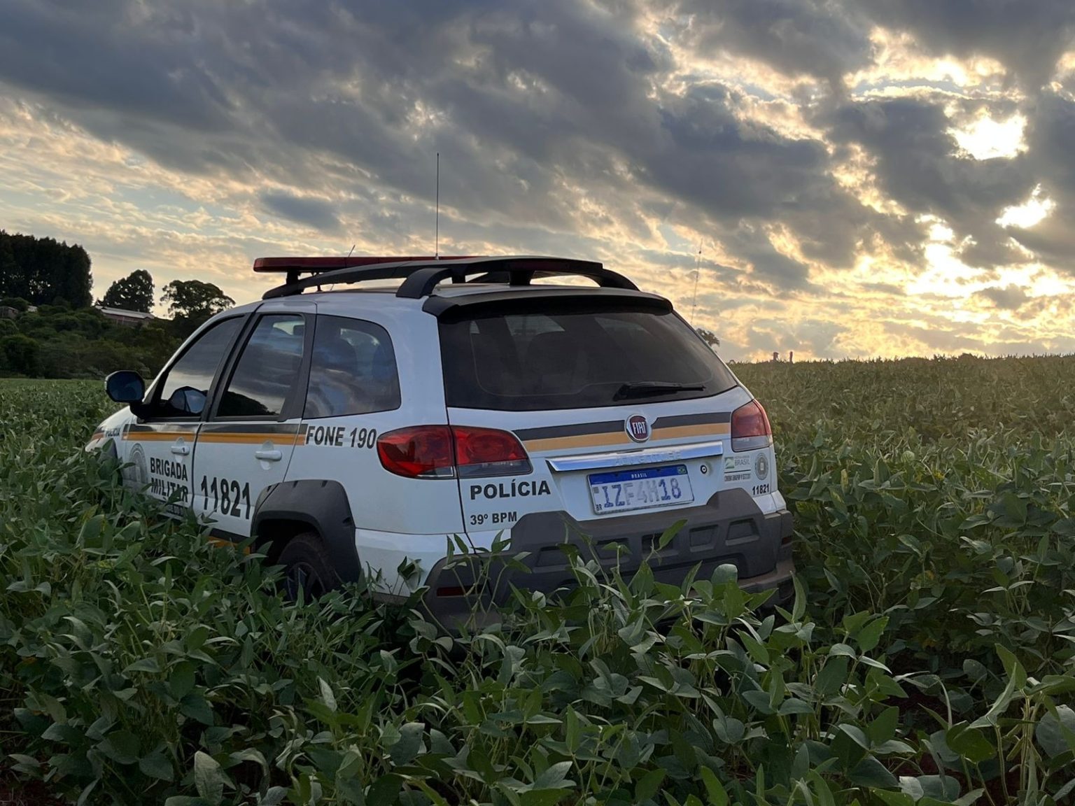 Brigada Militar localiza ossada humana enterrada no interior de Santa Bárbara do Sul