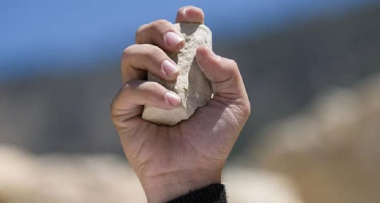 Incomodados com barulho de pet shop, vizinhos atiram ovos e pedras no estabelecimento