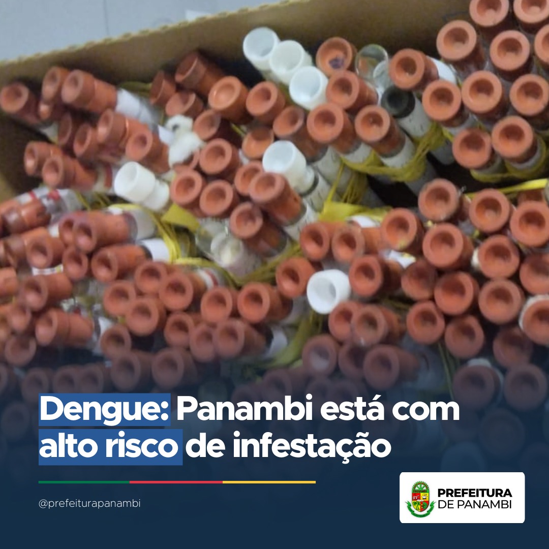 Dengue: Panambi está com alto risco de infestação