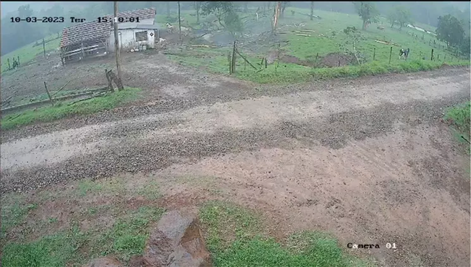 Vídeo flagra momento em que raio atinge árvore no interior de Esperança do Sul