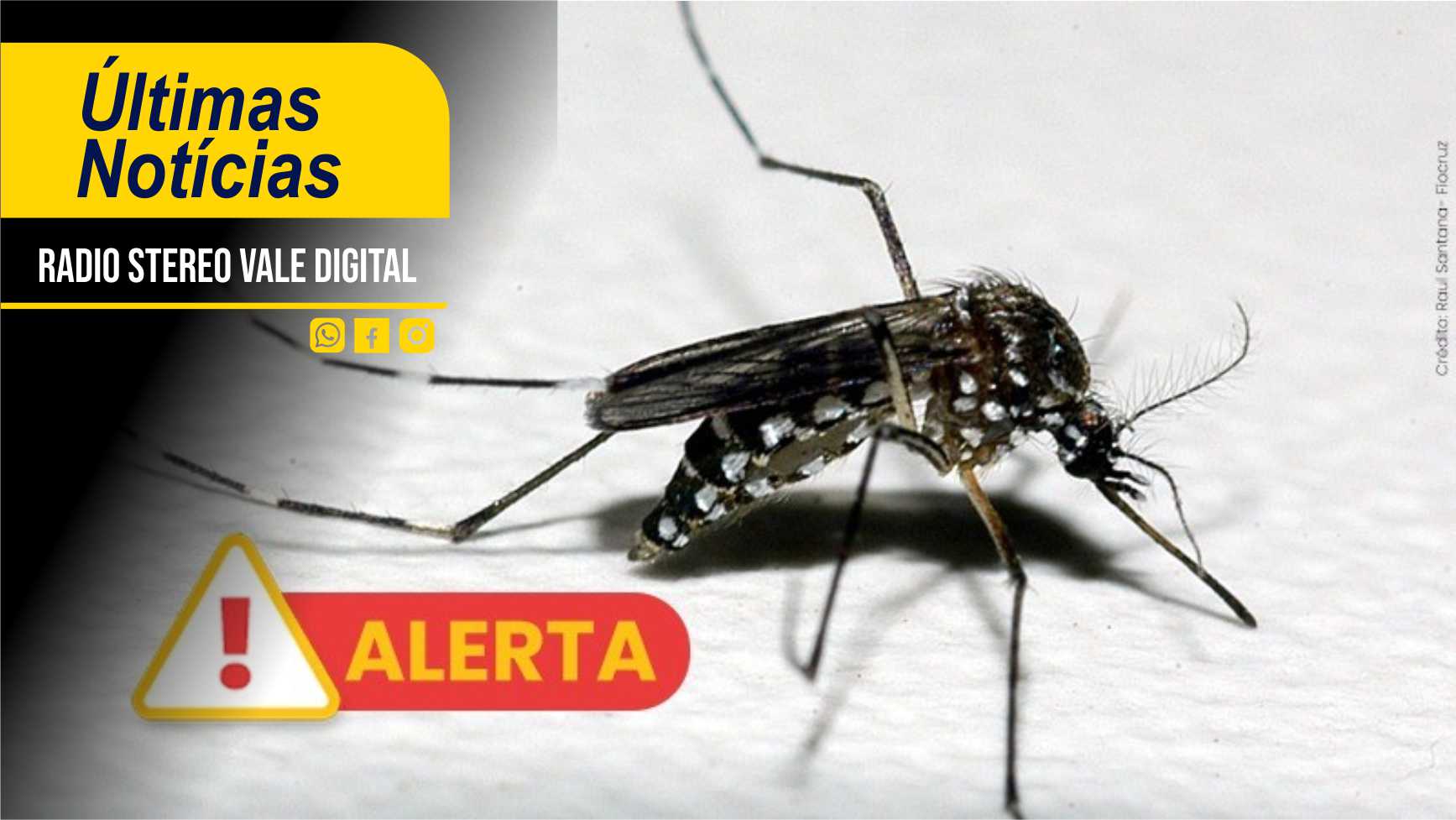 Governo do RS decreta situação de emergência devido à dengue
