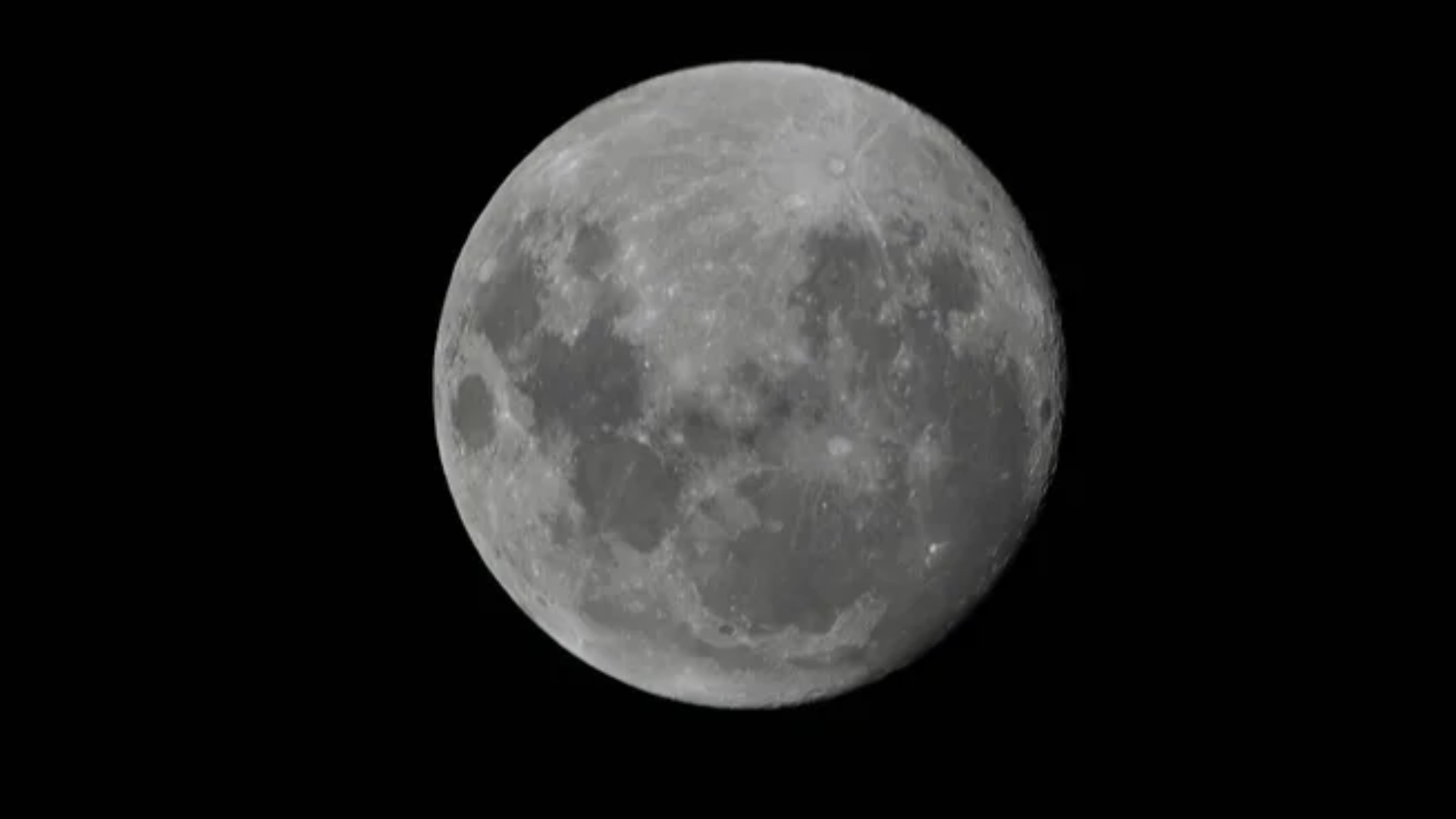 Polícia é chamada para atender ocorrência de lobisomem em cidade do RS