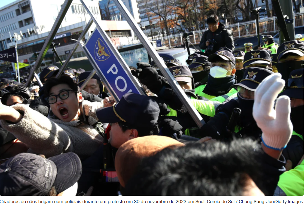Coreia do Sul aprova projeto de lei que proíbe venda de carne de cachorro
