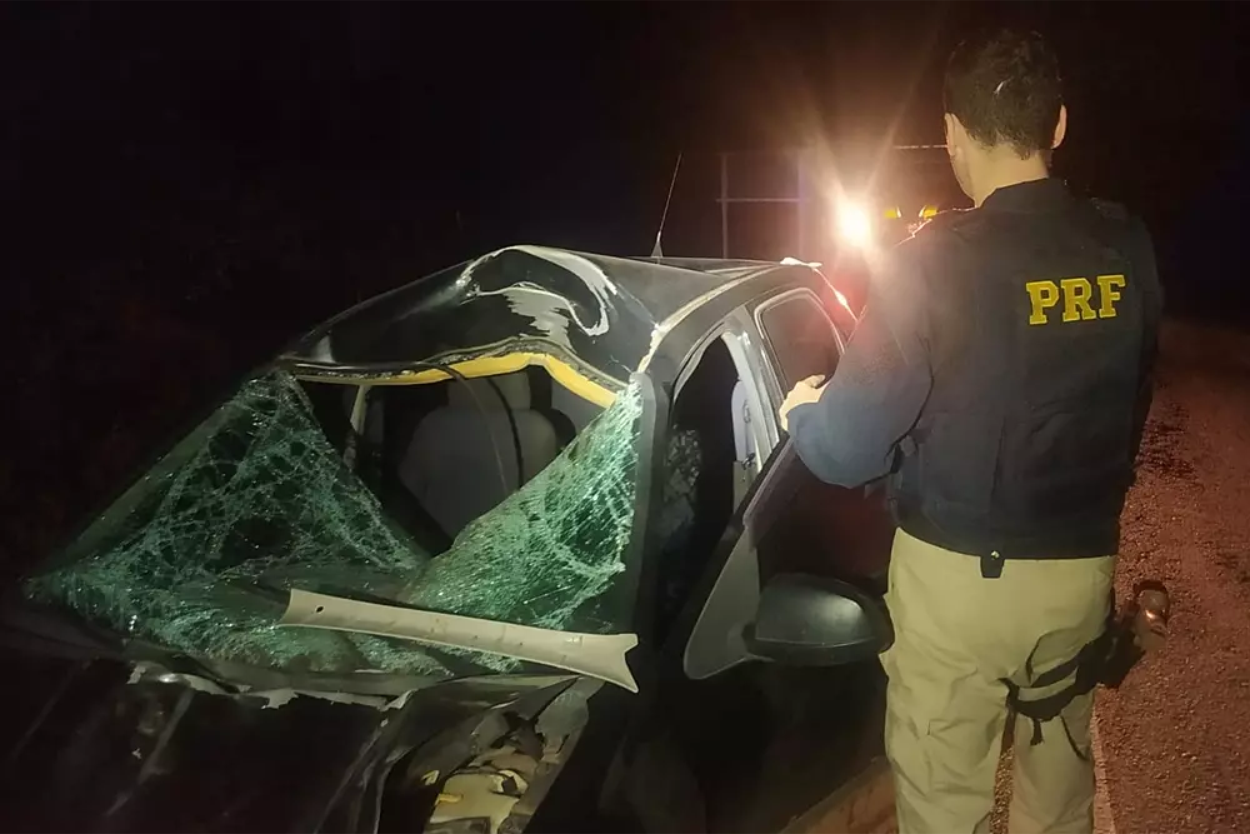 Motorista fica gravemente ferido após atropelar cavalo na BR 287