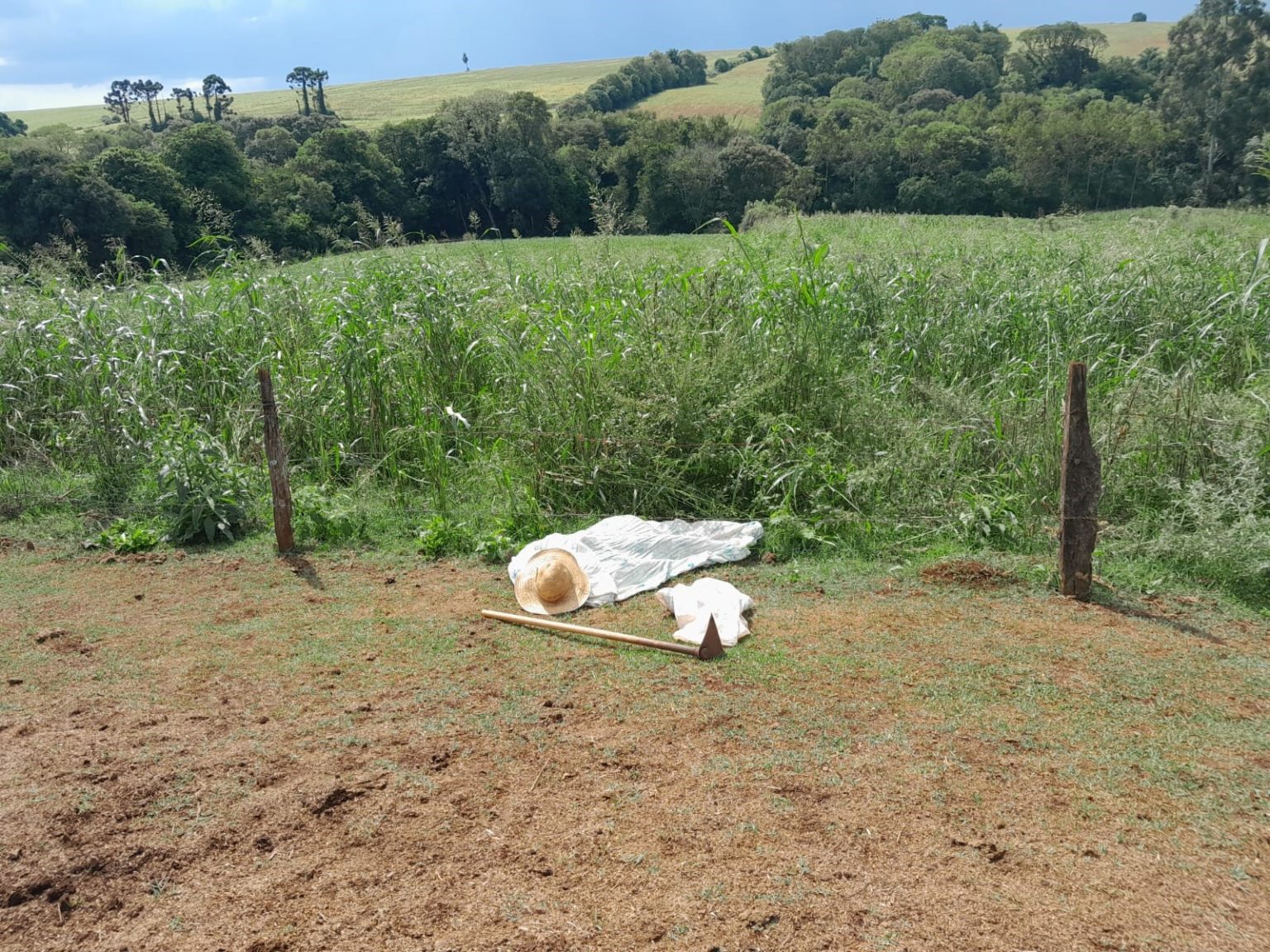 Homem é encontrado morto em lavoura no interior de Ajuricaba