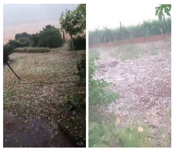 Granizo provoca estragos em lavouras no interior de Humaitá