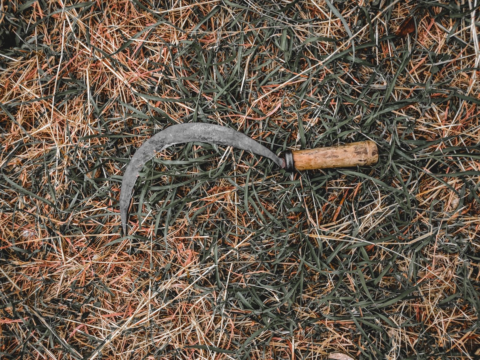 Armado com foice, homem rouba pertences de pedestre no centro de Ijuí