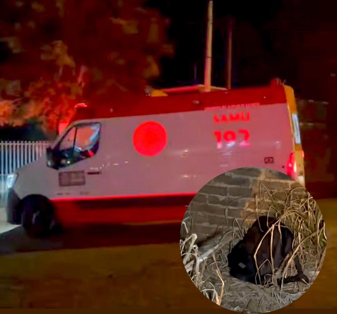 Feto de bebê é encontrado morto dentro de mochila no Centro de São Borja