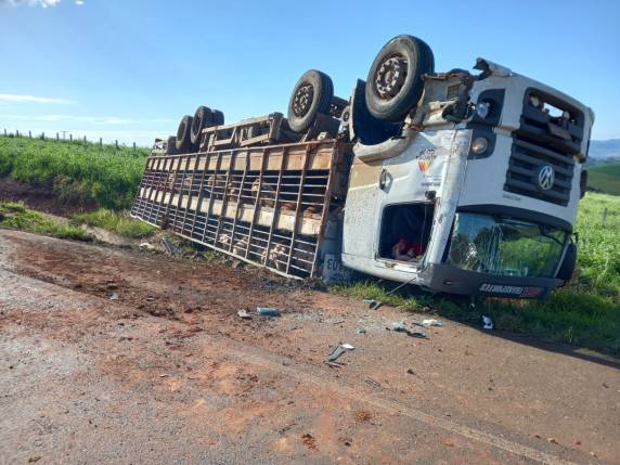 Veículo que transportava suínos colide contra ônibus escolar e caminhão na BR-282