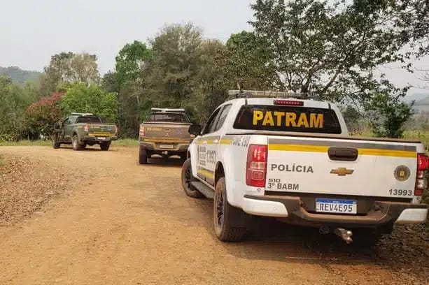 Agentes do Ibama realizaram fiscalização durante três dias em três municípios da região Celeiro