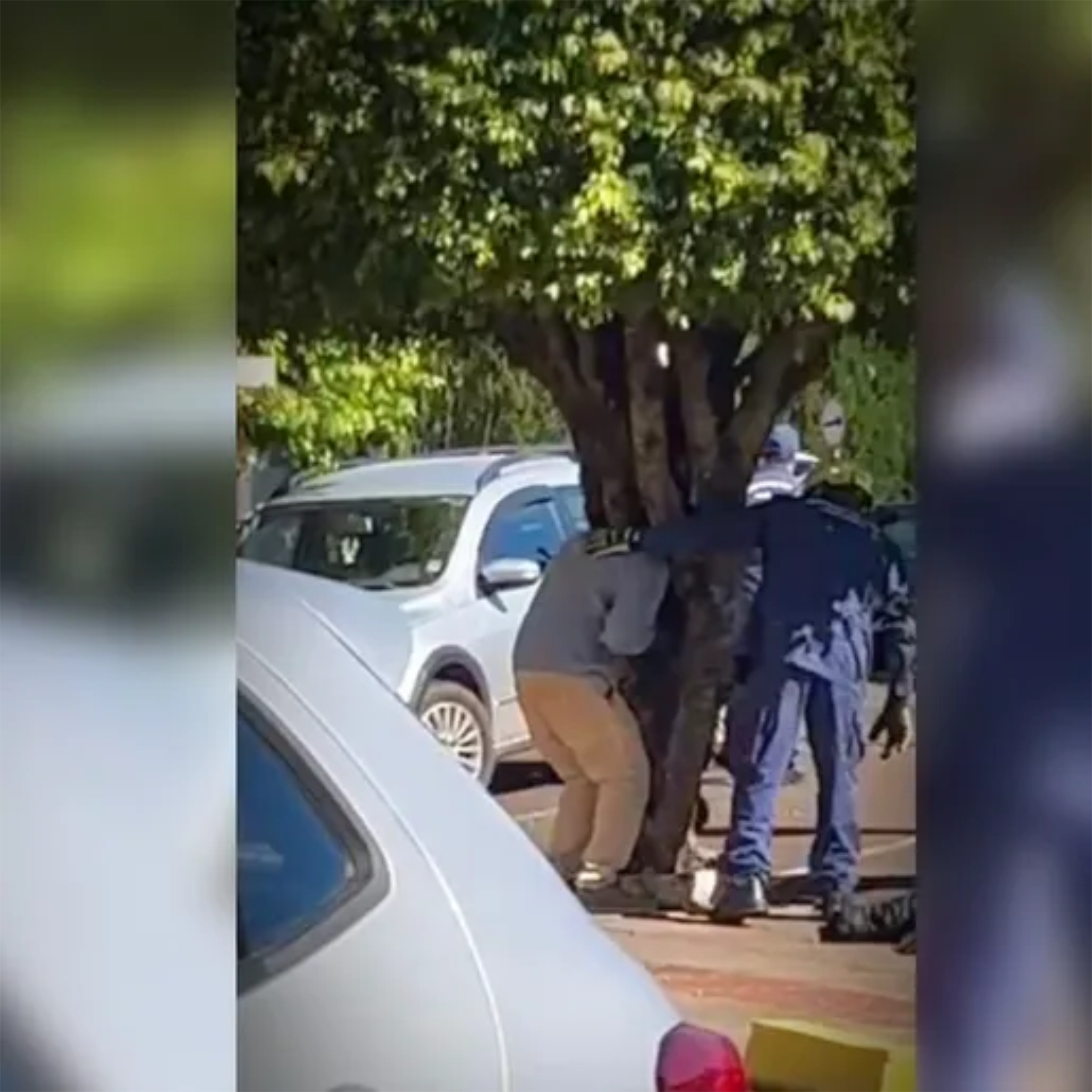 Homem fica com a cabeça presa em árvore em Santa Catarina