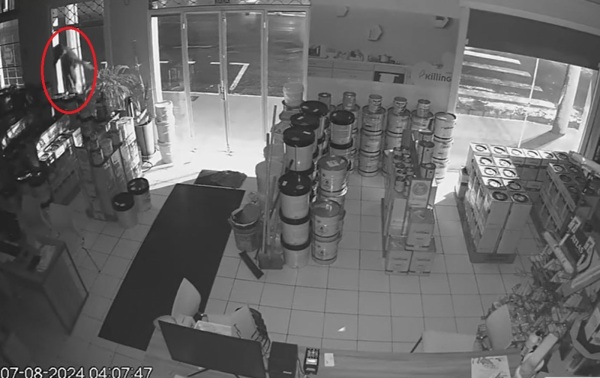 Ladrão Arromba Loja de Tintas em Cruz Alta e É Preso Horas Depois