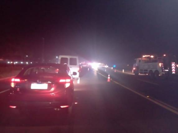 Acidente de trânsito envolvendo cavalos na ERS-342 em Cruz alta