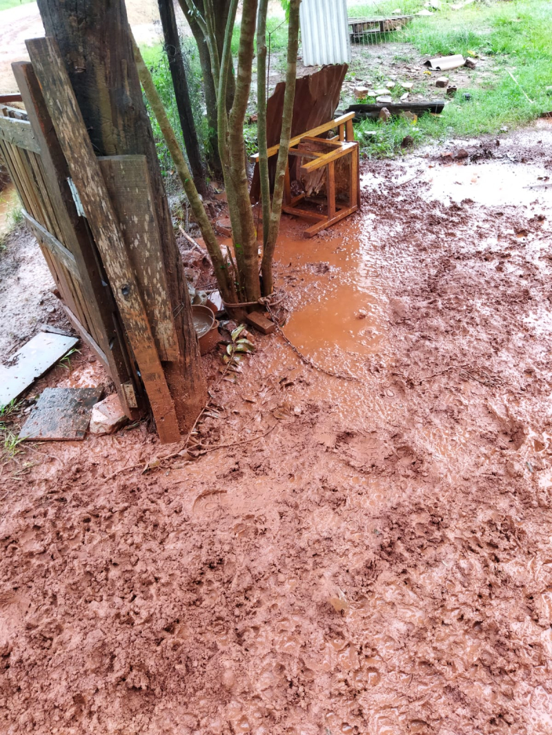 Cão em situação de maus-tratos é resgatado pela Polícia Civil em Cerro Largo