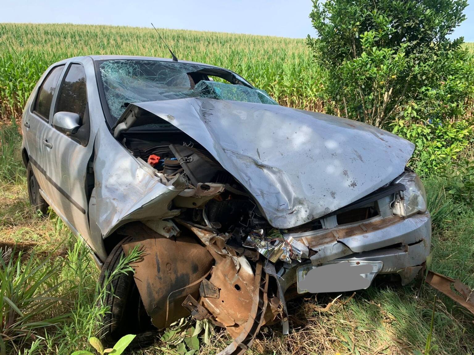 Motorista morre após carro sair de pista e colidir contra coqueiro em Nova Boa Vista