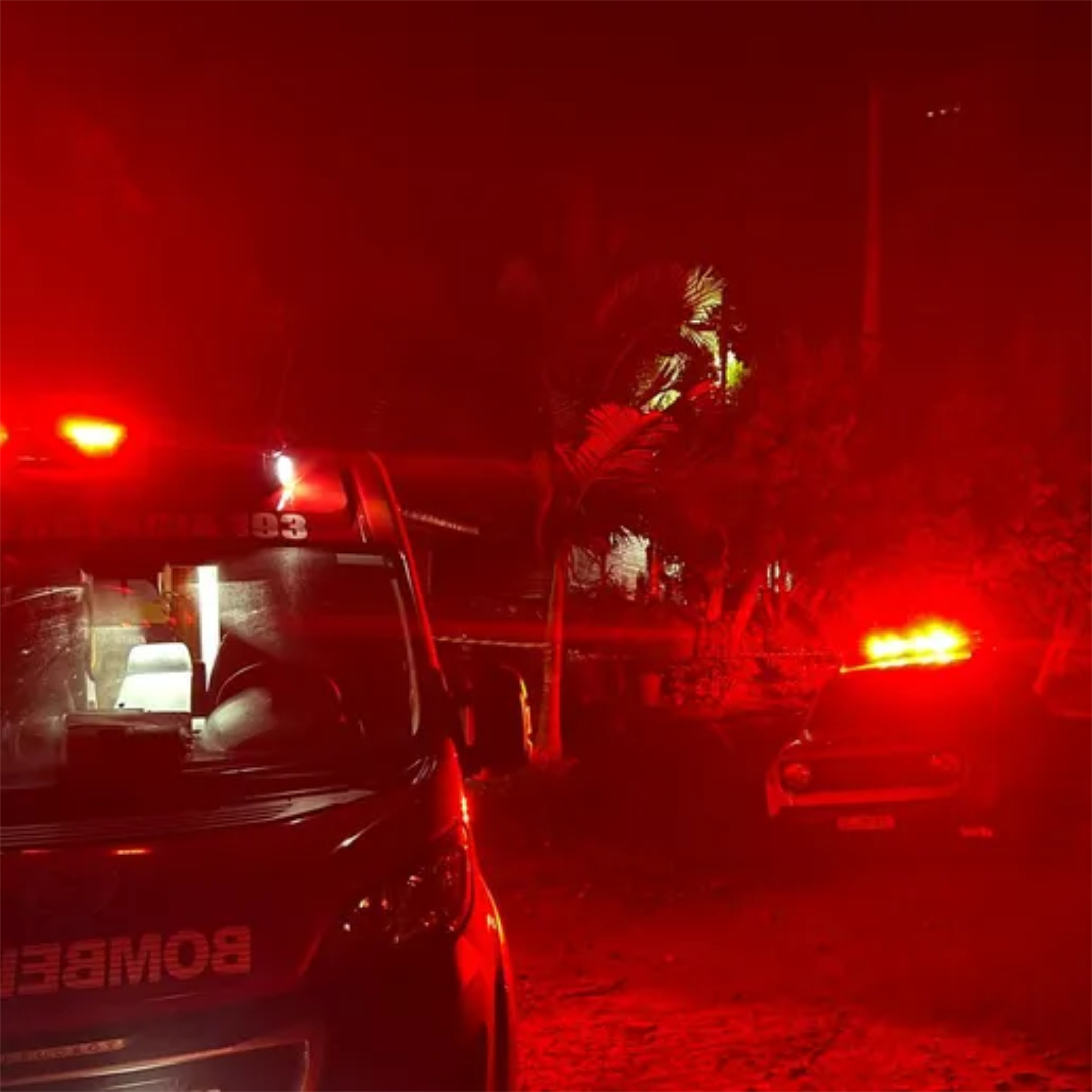 Homem é morto a golpes de facão após briga com o irmão