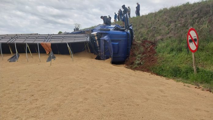 Carga de arroz é furtada de carreta envolvida em acidente com morte na BR 285 em Panambi