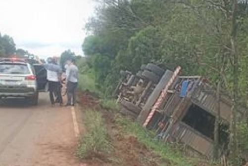 Caminhão tomba na BR-468 e cinco bovinos morrem, em Palmeira das Missões