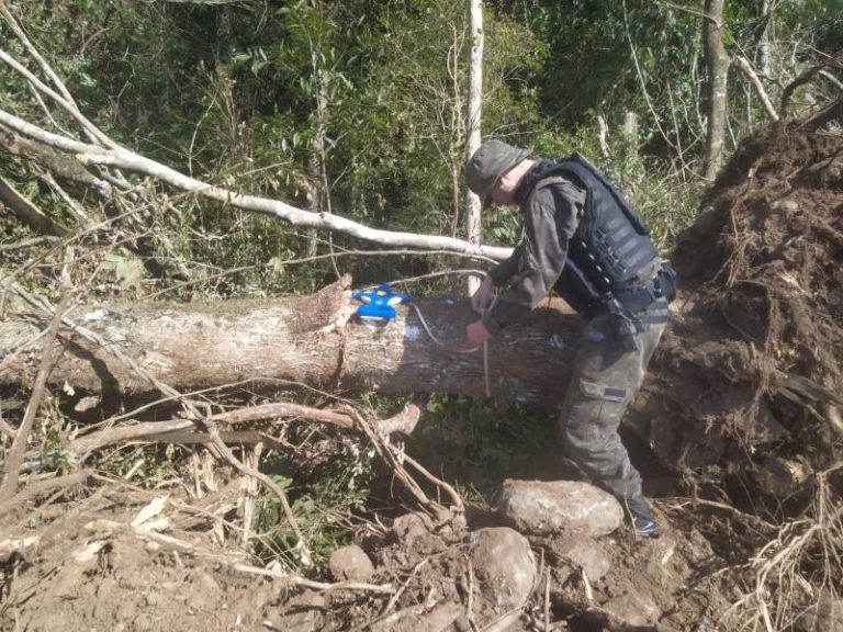 Polícia Civil investiga crimes ambientais que vem acontecendo em Panambi