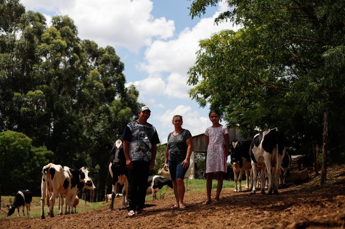 Produtora de leite de Joia desabafa sobre os efeitos da falta de chuva: “Os bichos vão começar a morrer de fome”