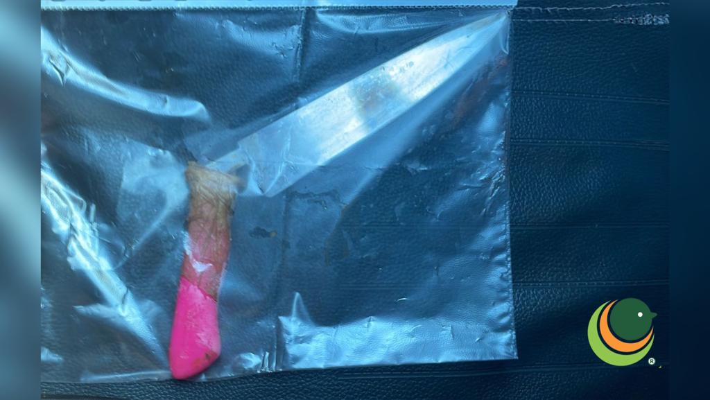 Mulher revida agressão e esfaqueia companheiro em Passo Fundo