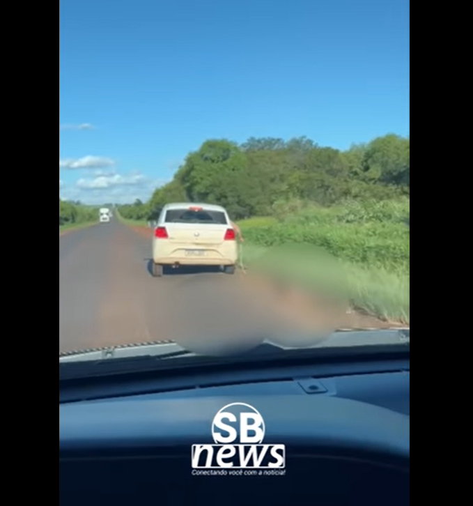 Cachorro é flagrado sendo arrastado na BR-285 em São Borja