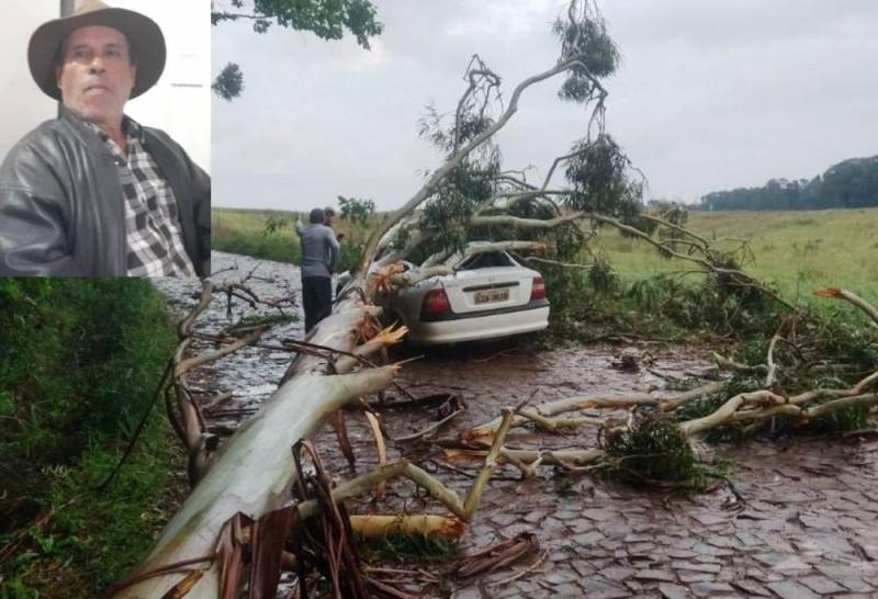 Eucalipto cai em cima de automóvel e mata motorista no oeste catarinense