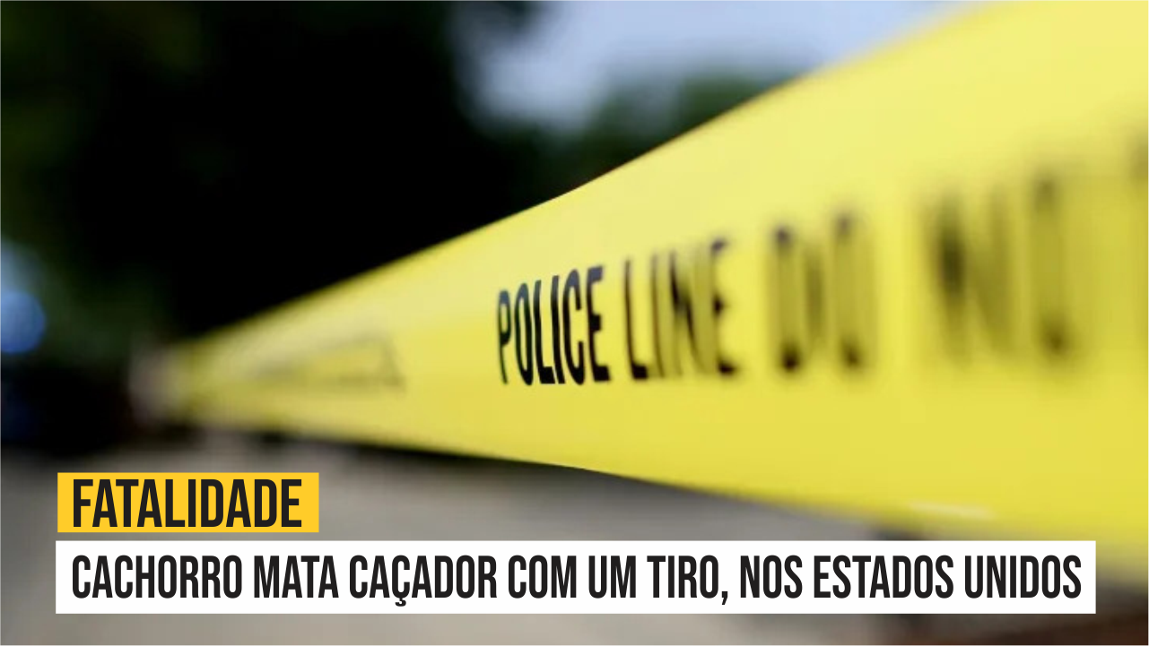 Cachorro mata caçador com um tiro, nos Estados Unidos