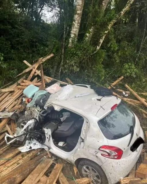 Carga de caminhão cai em cima de veículo e mata homem e cachorro em SC