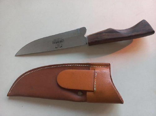 Mulher e filha são atacadas durante banho em Chapecó