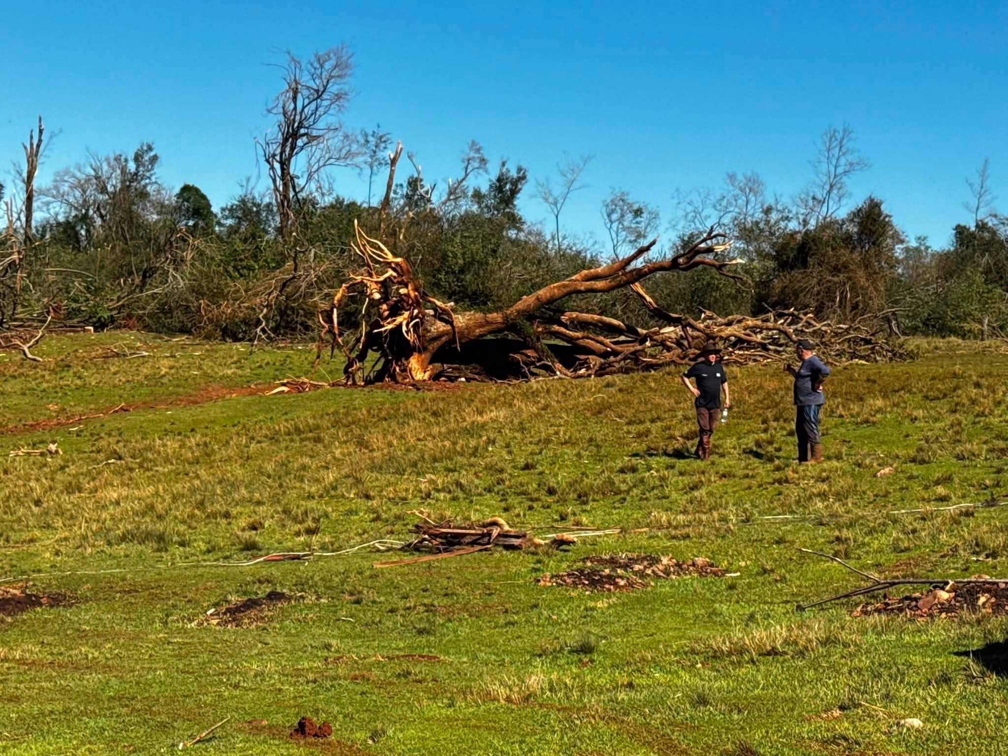 Nova onda de tempestades trará vendavais ao RS neste fim de semana, informa MetSul