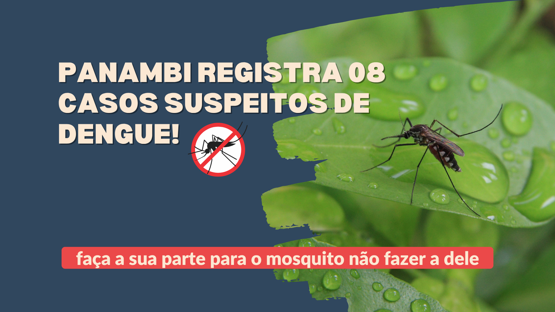 Panambi registra 08 casos suspeitos de dengue