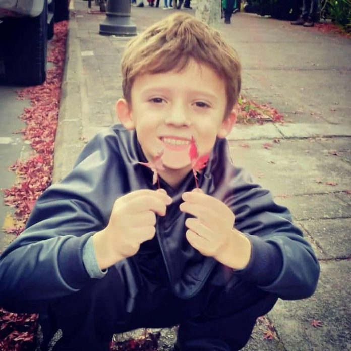 Criança de 7 anos morre após ser atingida por poste de madeira em município gaúcho