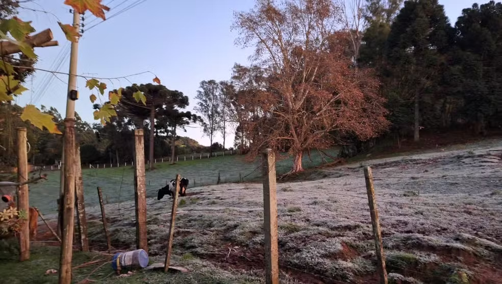 Mínima de -3,6ºC: 11 cidades registram temperaturas negativas no RS