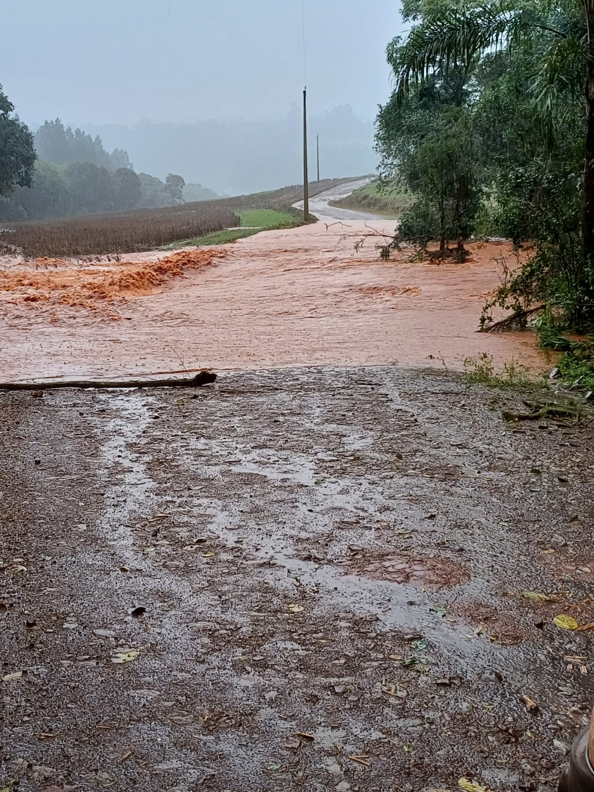 Braga decretou situação de emergência
