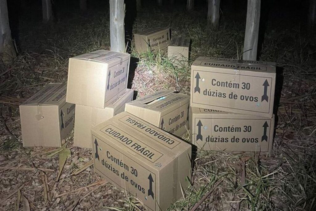 Dupla é presa após furtar mais de 11 mil ovos de granja