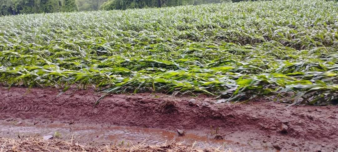 Temporal acompanhado de chuva forte deixa famílias atingidas no município de Vista Gaúcha